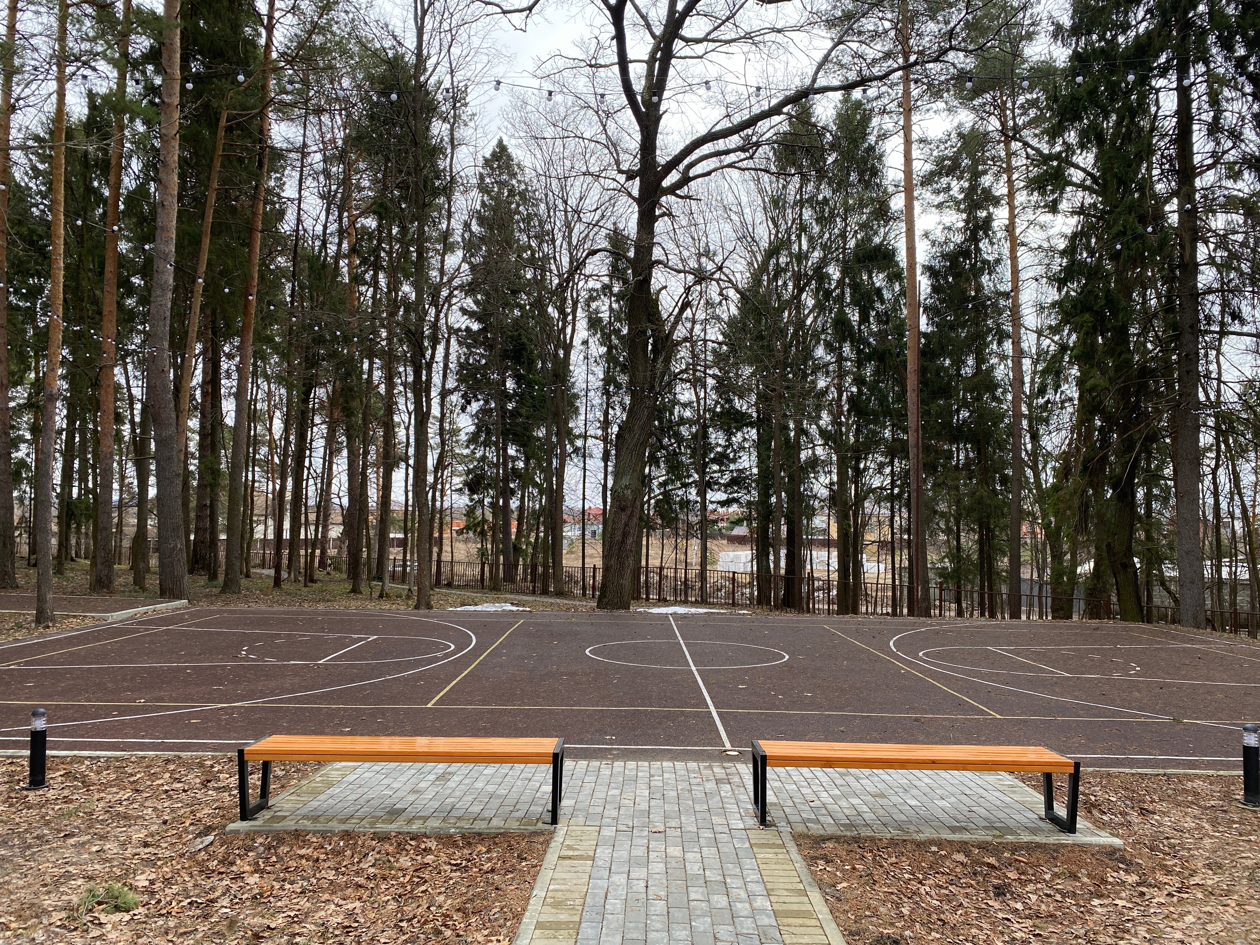 Фото Времена года в зелёном городе