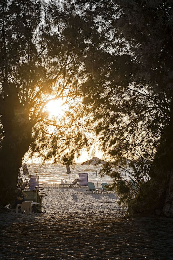 Фото Angela Thalia Apartments