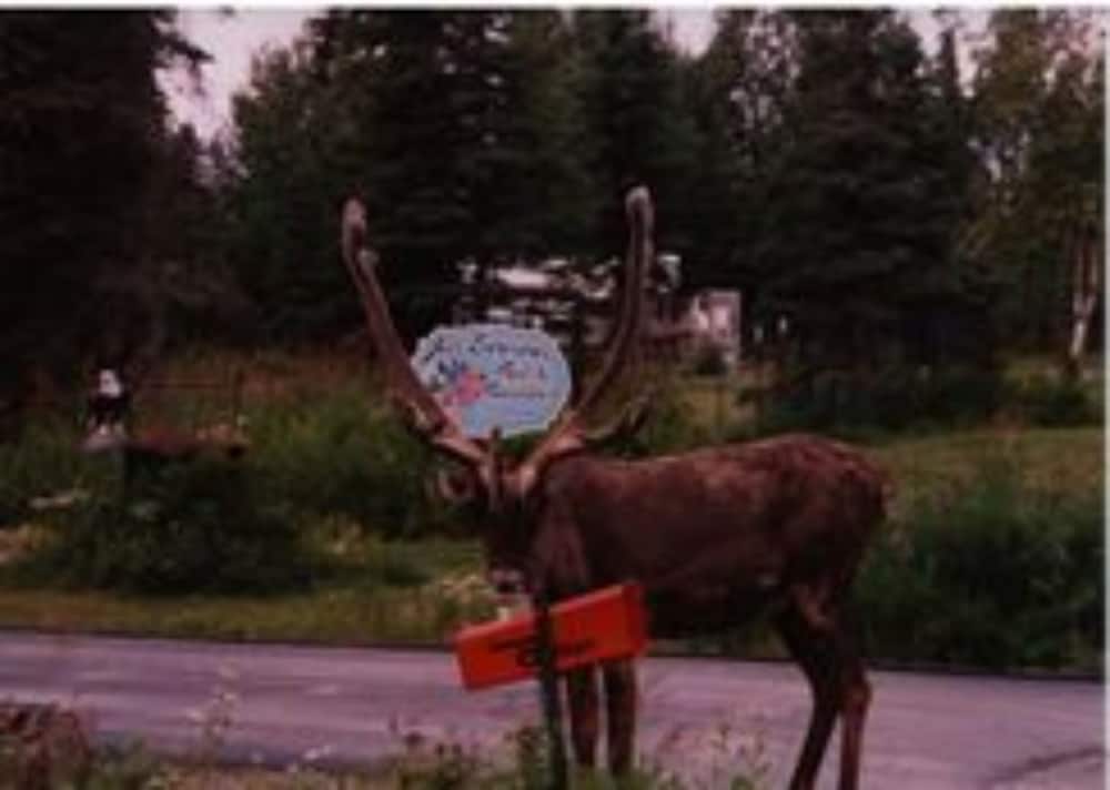 Фото AllSeasons Bed & Breakfast