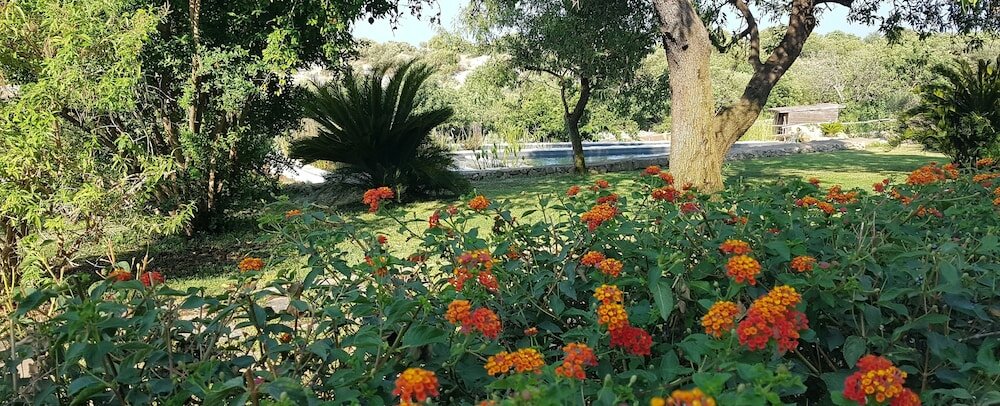 Фото Case Brizza