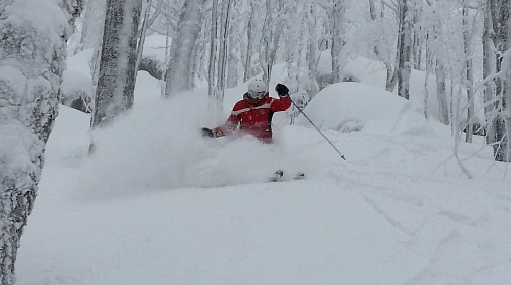 Фото Albergo Le Macinaie