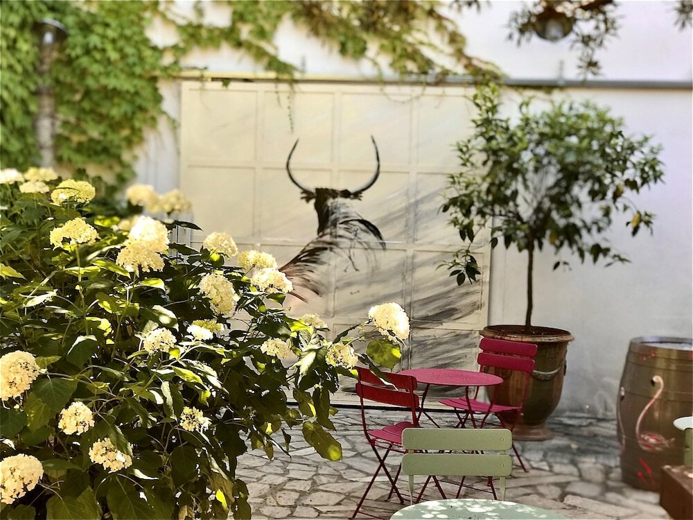 Фото Saint Louis