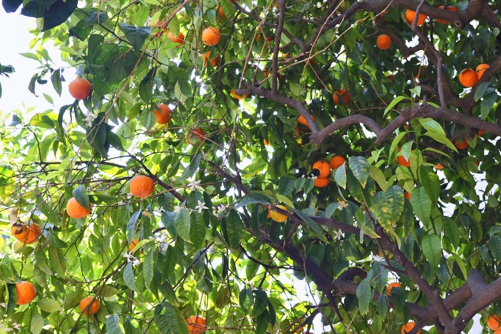 Фото La Villa Nice Promenade