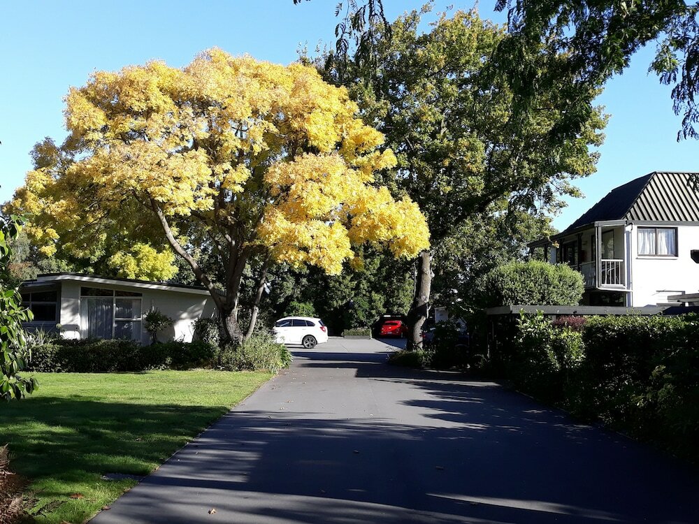 Фото Ashleigh Court Motel