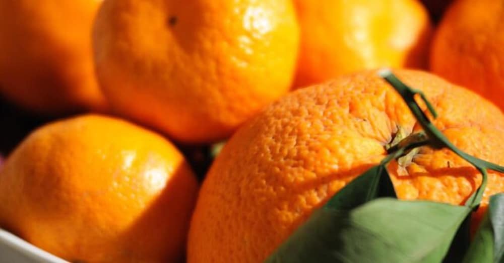 Фото B&b PortAtenea