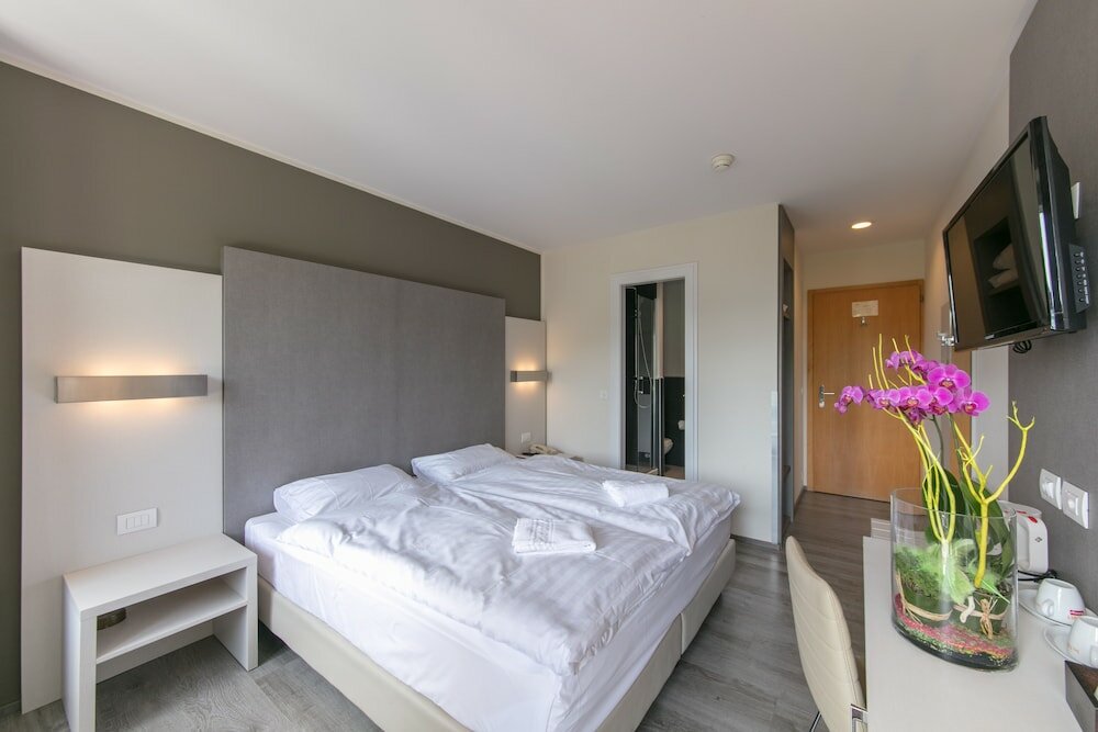 Фото Hotel Préalpina