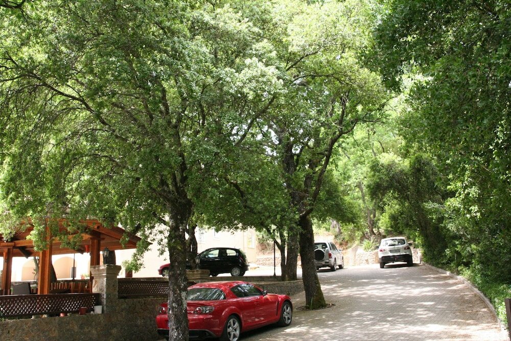 Фото Fiori Hotel