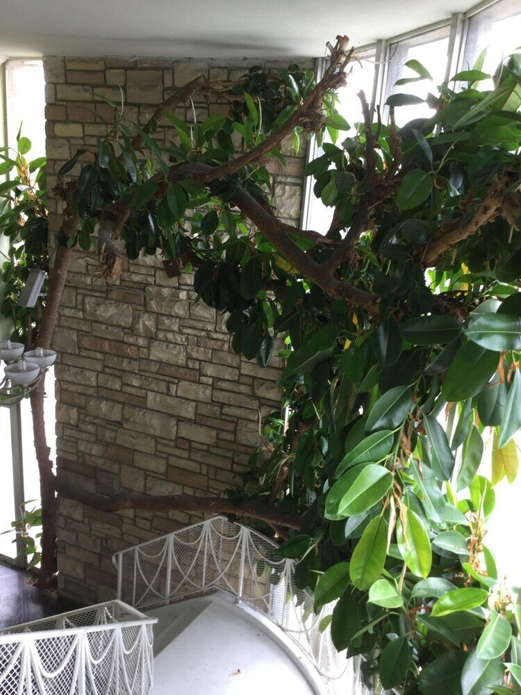 Фото Bevonshire Lodge Motel