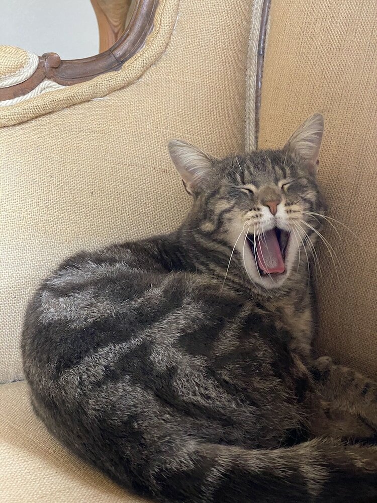 Фото Relais Sant'Elena