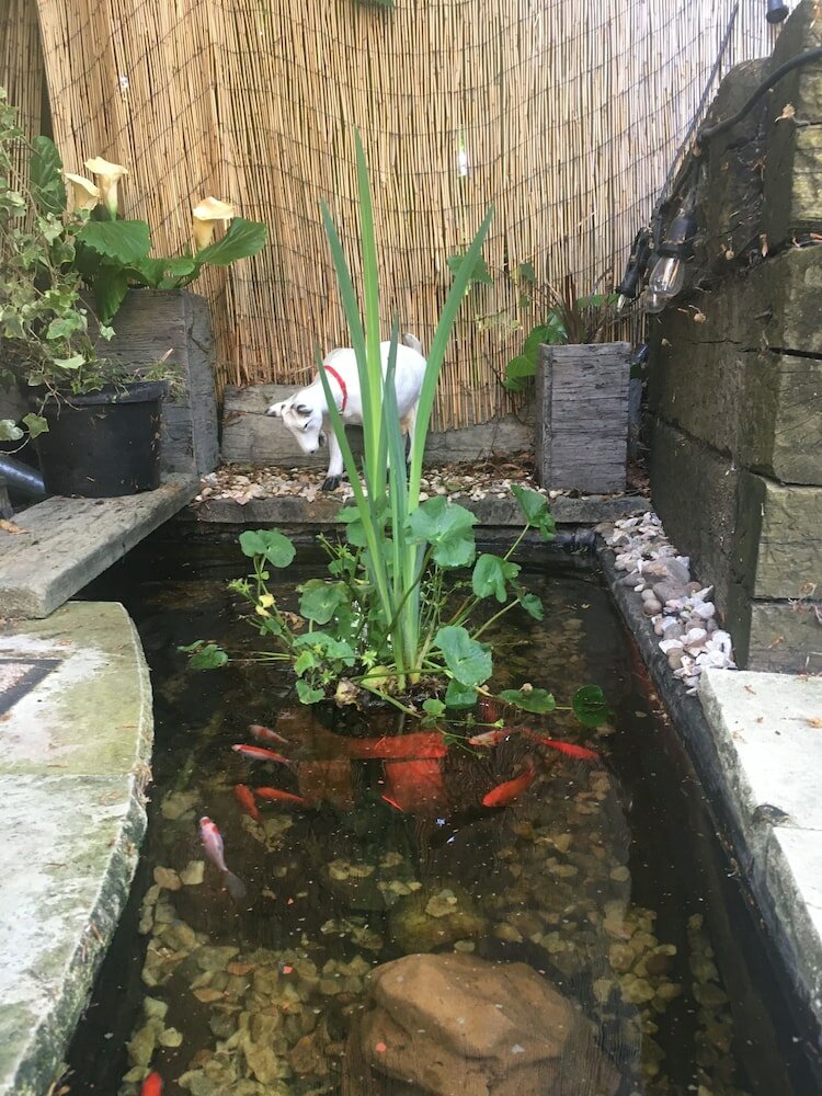 Фото Melford House