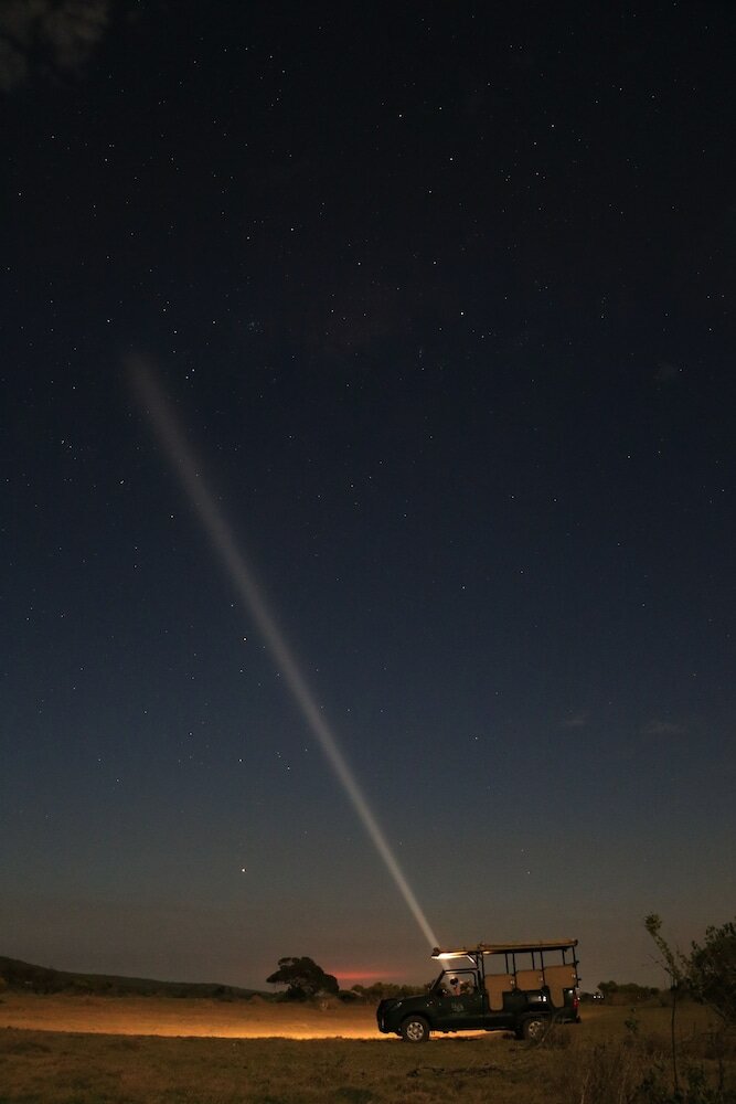 Фото Garden Route Game Lodge