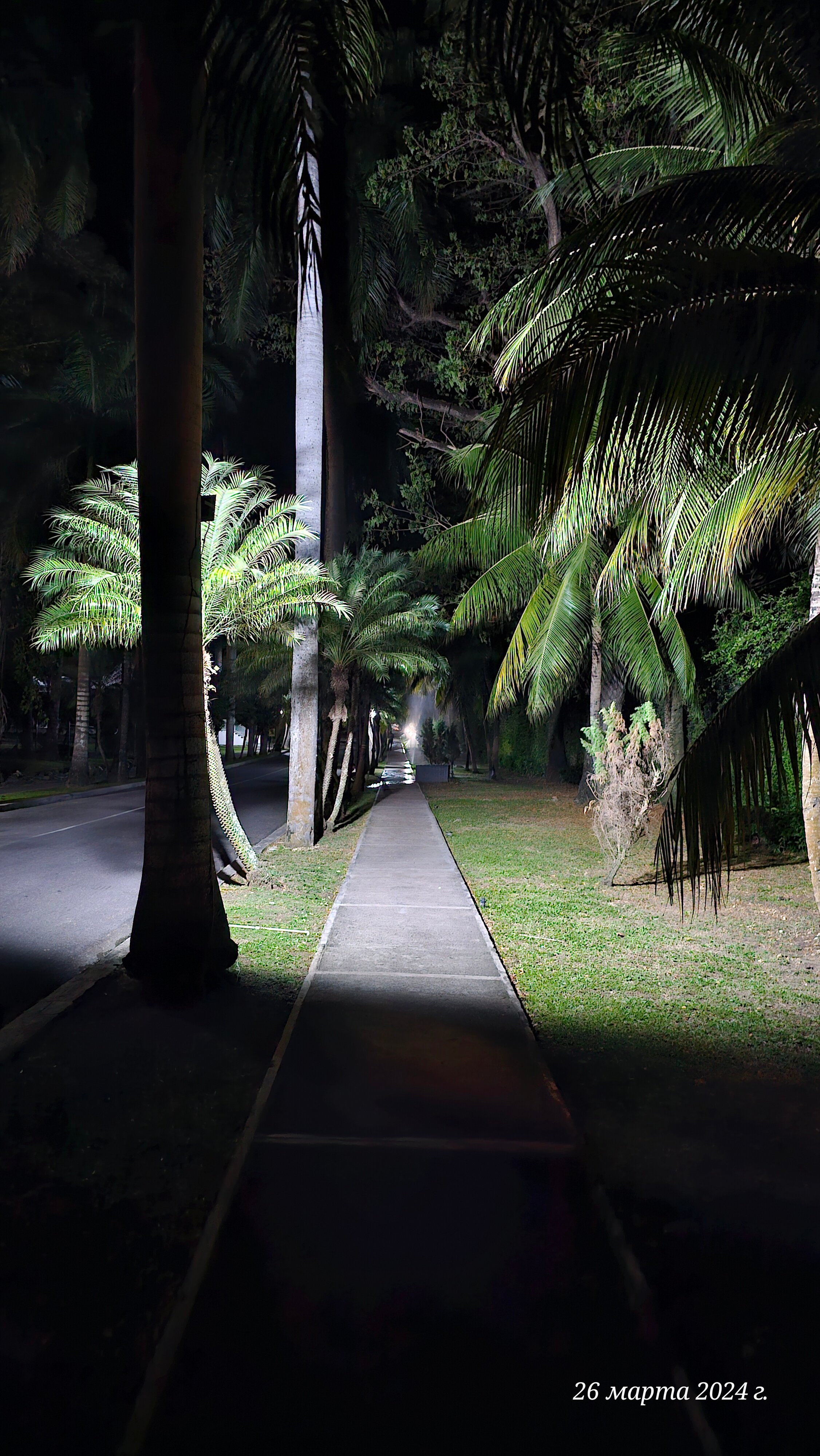 Фото Riu Ocho Rios All Inclusive