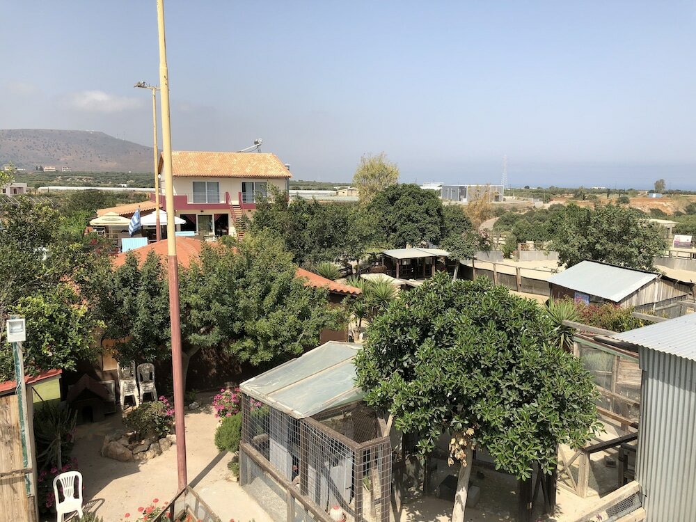 Фото Arion Stables & Apartments