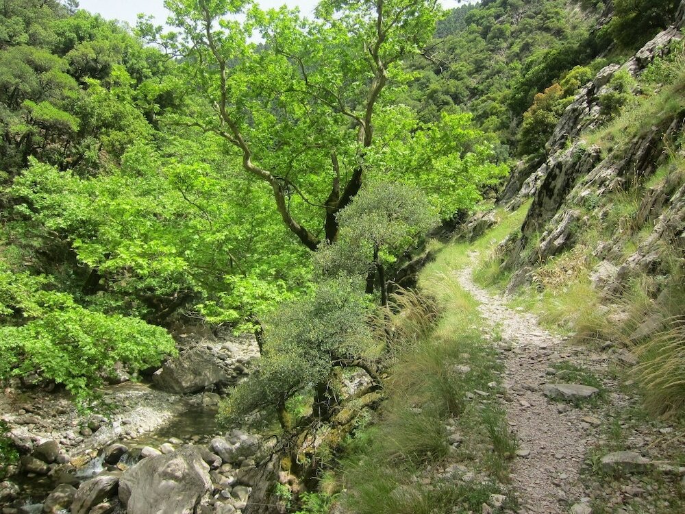 Фото Oreini Nafpaktia Houses