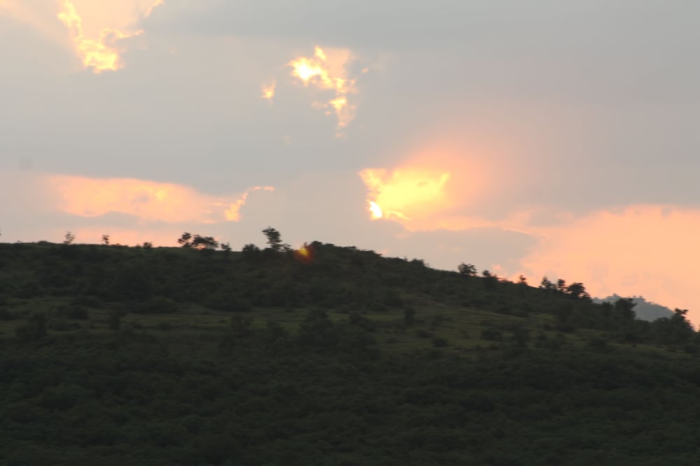 Фото Nisarg Resort