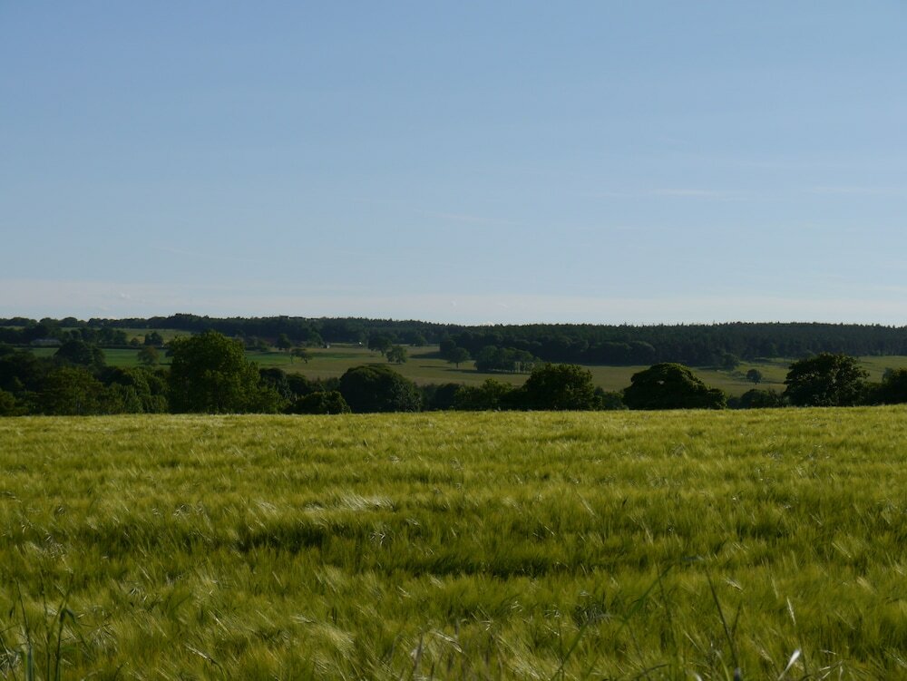 Фото Riding Farm Cottages