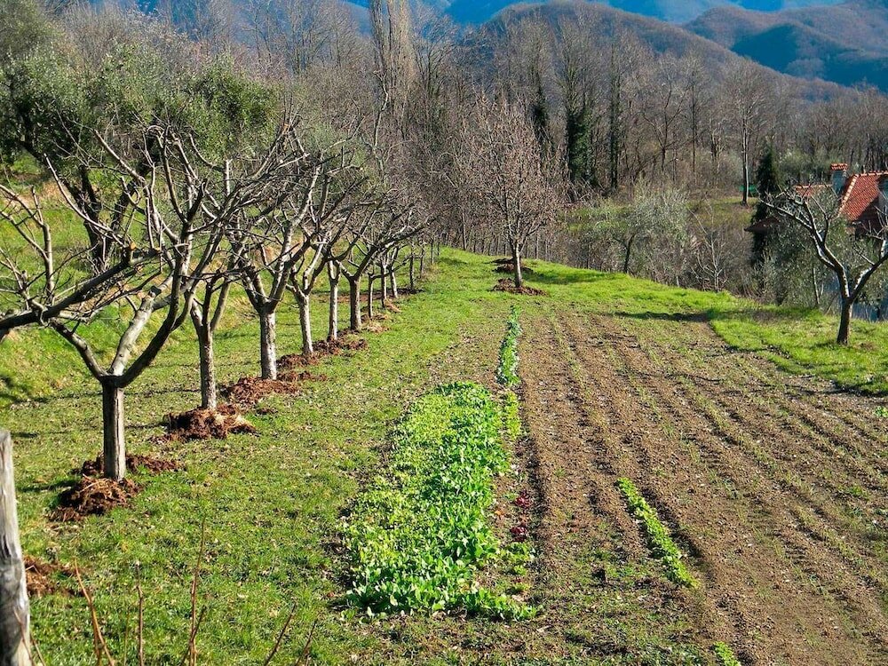 Фото Fattoria Giunasco