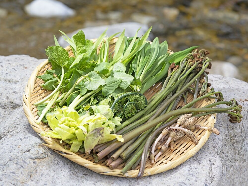 Фото Tenjiku Onsennosato