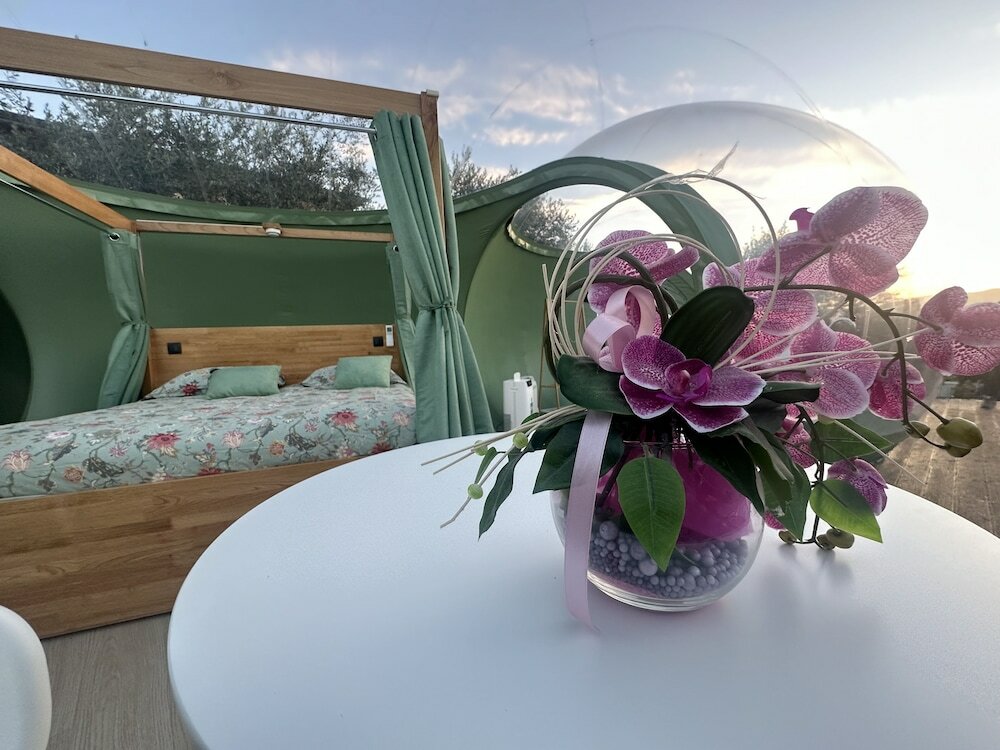 Фото Villa Ulivi