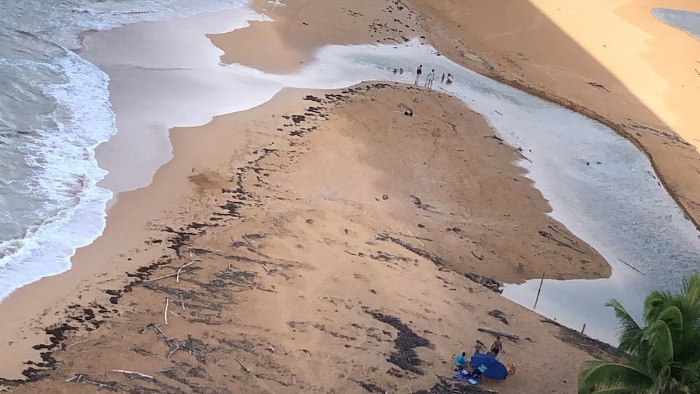 Фото Ocean View Gorgeous 1 Bedroom Apt