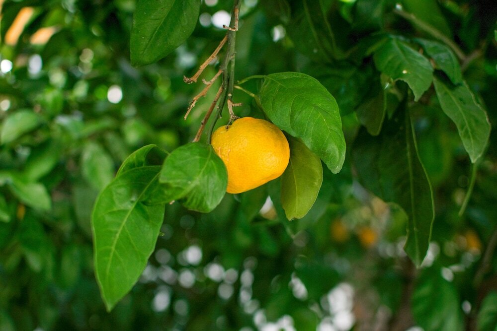 Фото Apartment Misura - Peaceful Location