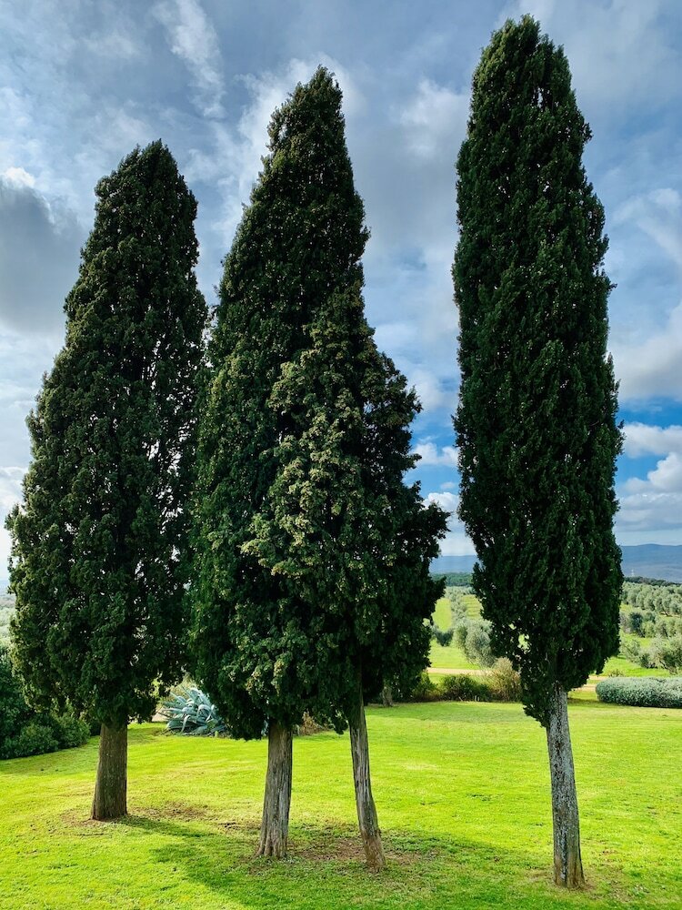 Фото Tenuta Agricola Fraschiera