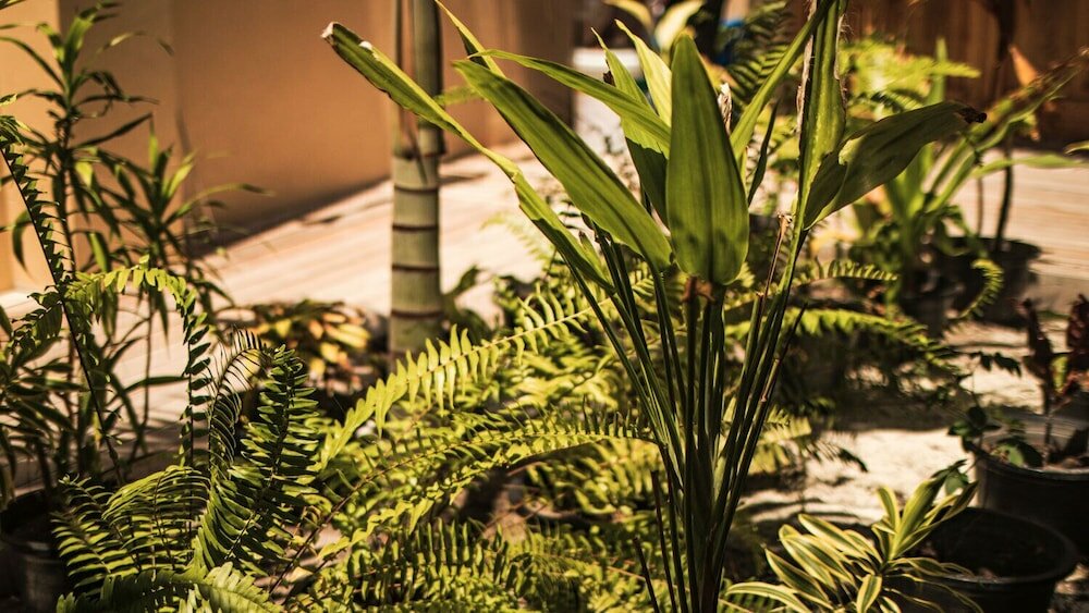 Фото Endheri Sunset