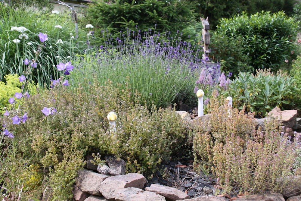 Фото Mein kleinHOTEL Herbstein