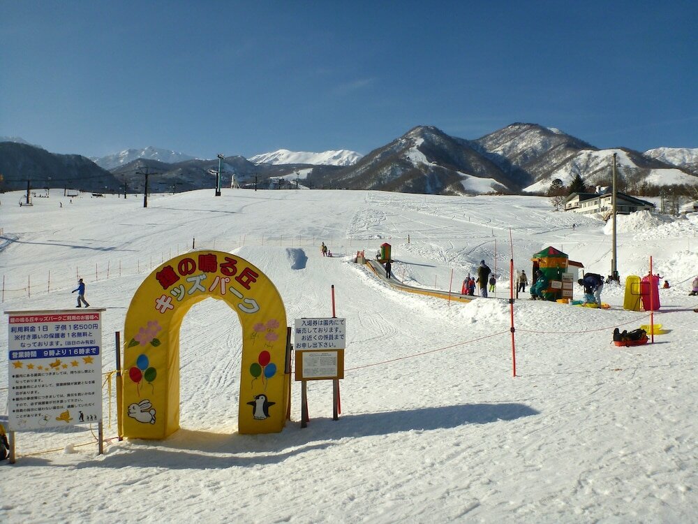 Фото Tsugaike Kanko Hotel
