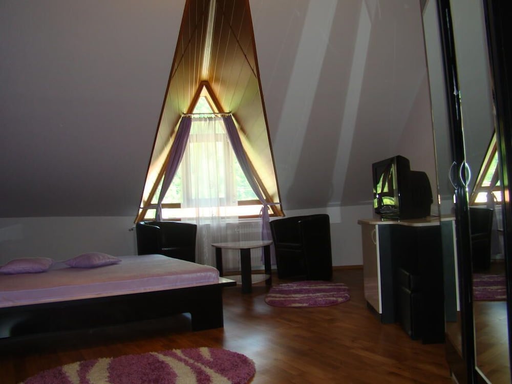 Фото Pensiunea Floare de Colt