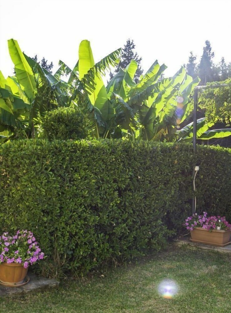 Фото Miltiadis Apartments