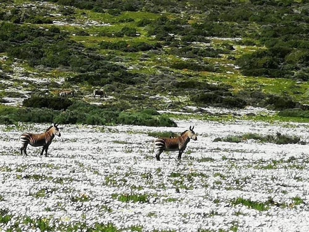 Фото Sandra's Guest House