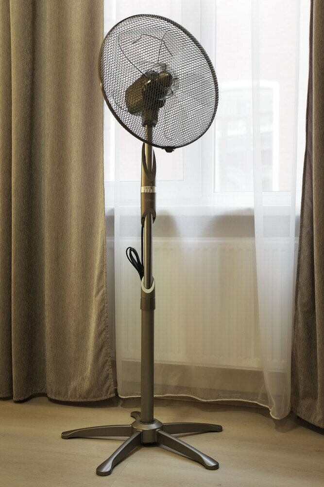 Фото Петровский двор