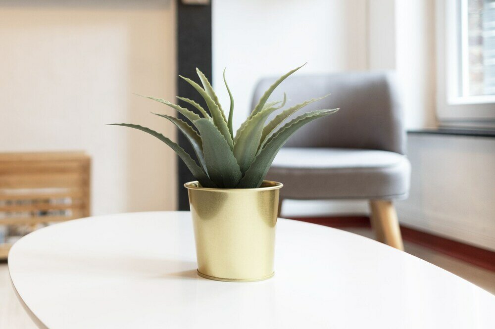 Фото Le Cerisier - Duplex au centre de Namur