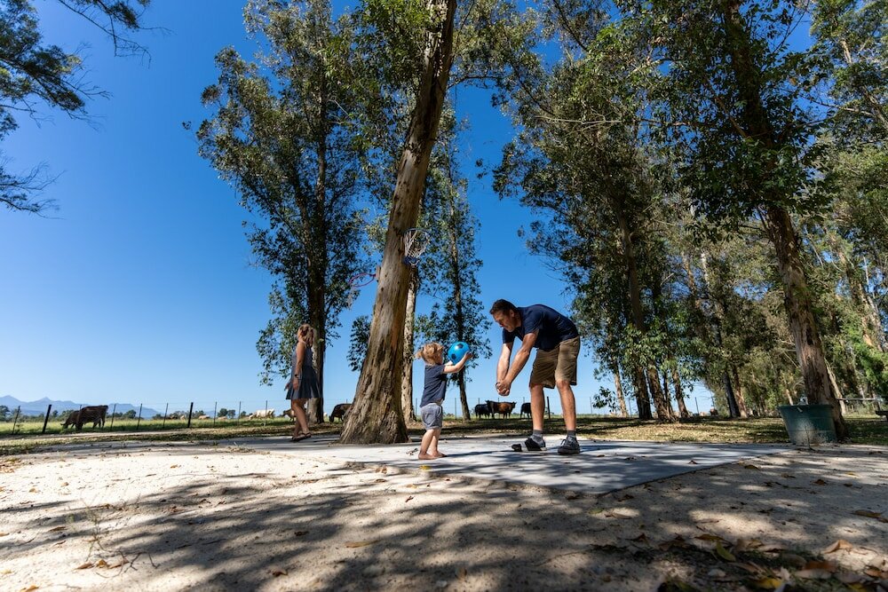 Фото AfriCamps at Oakhurst- Glamping