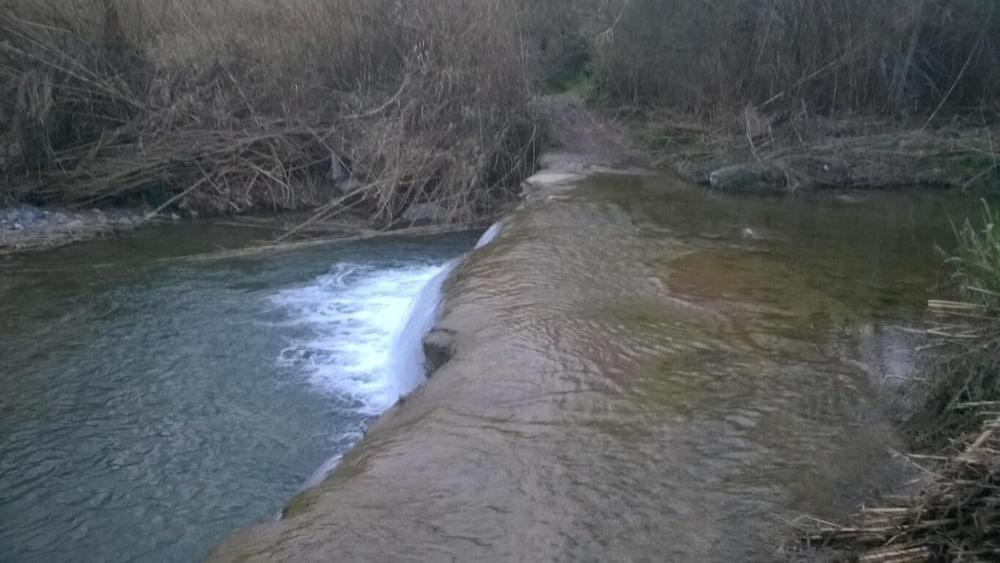 Фото Wonderfull Liguria