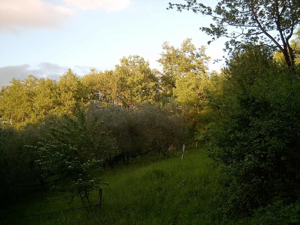 Фото Agriturismo le Cammarose