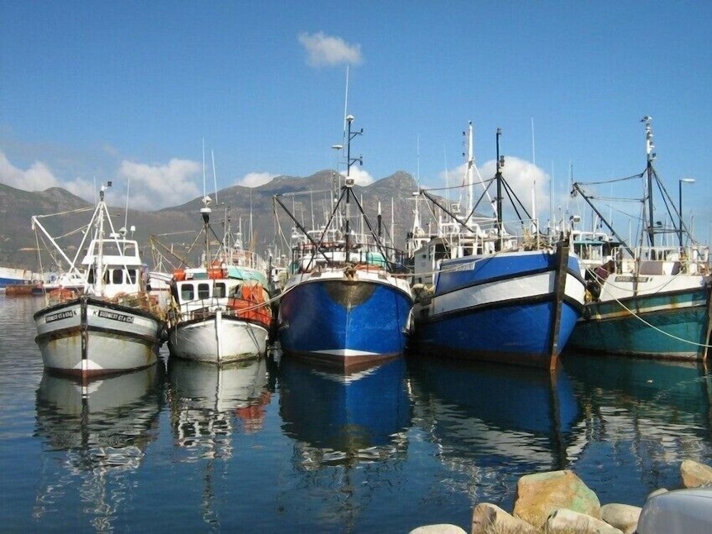 Фото Seacliffe Lodge