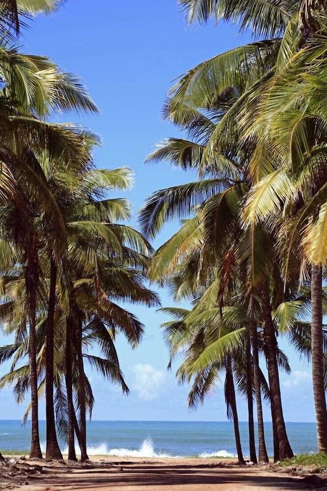 Фото Manawa Beach Flat by All