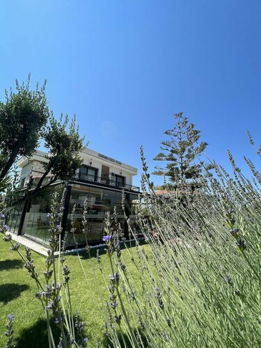 Гостиница Dalyan Risus Suite в Чешме