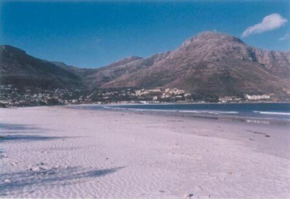 Фото Seacliffe Lodge