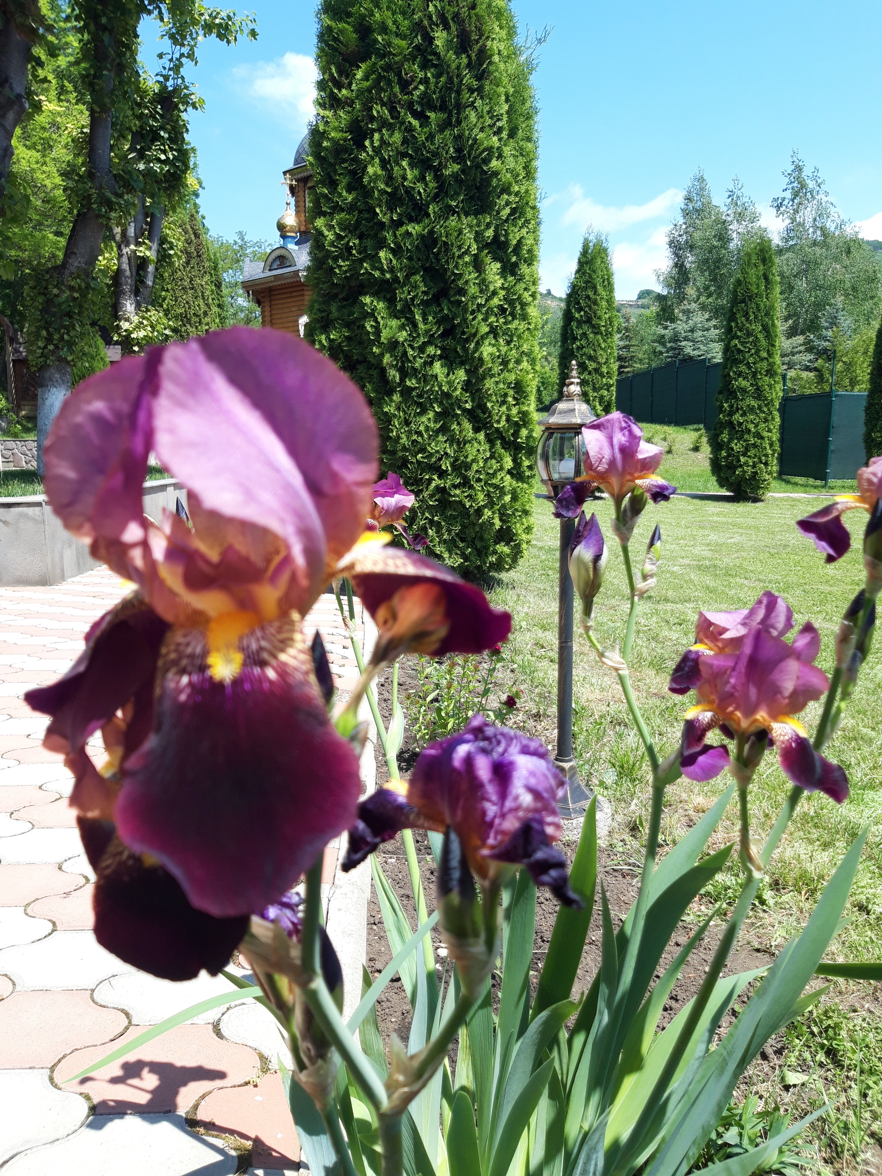 Фото Вилла Арнест