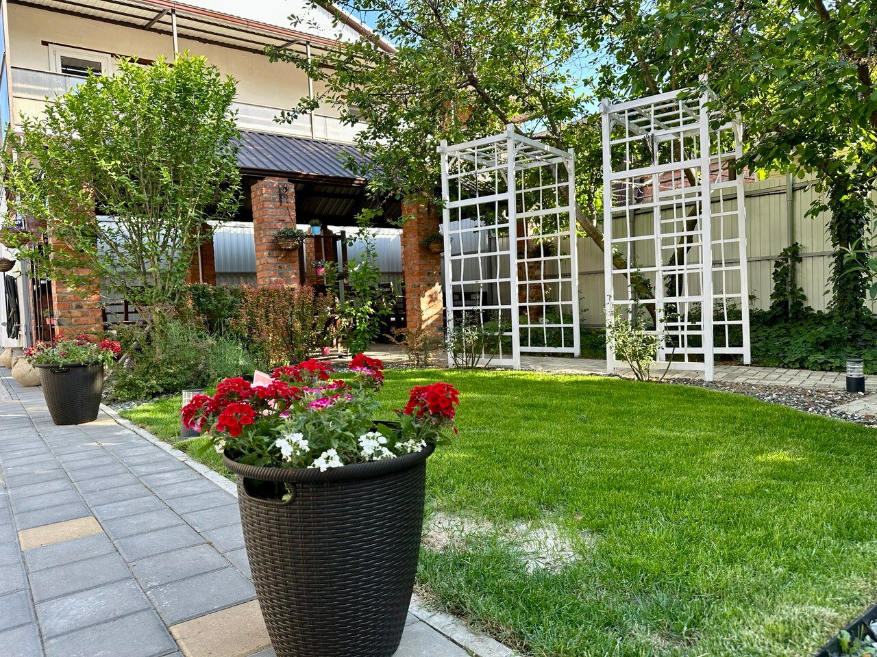 Фото Совёнок