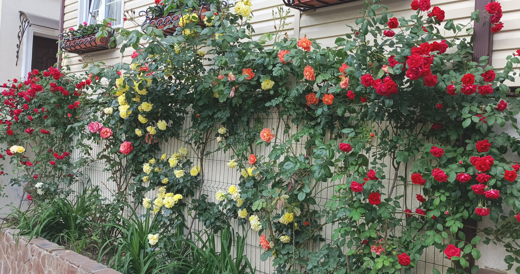 Фото Французский дом