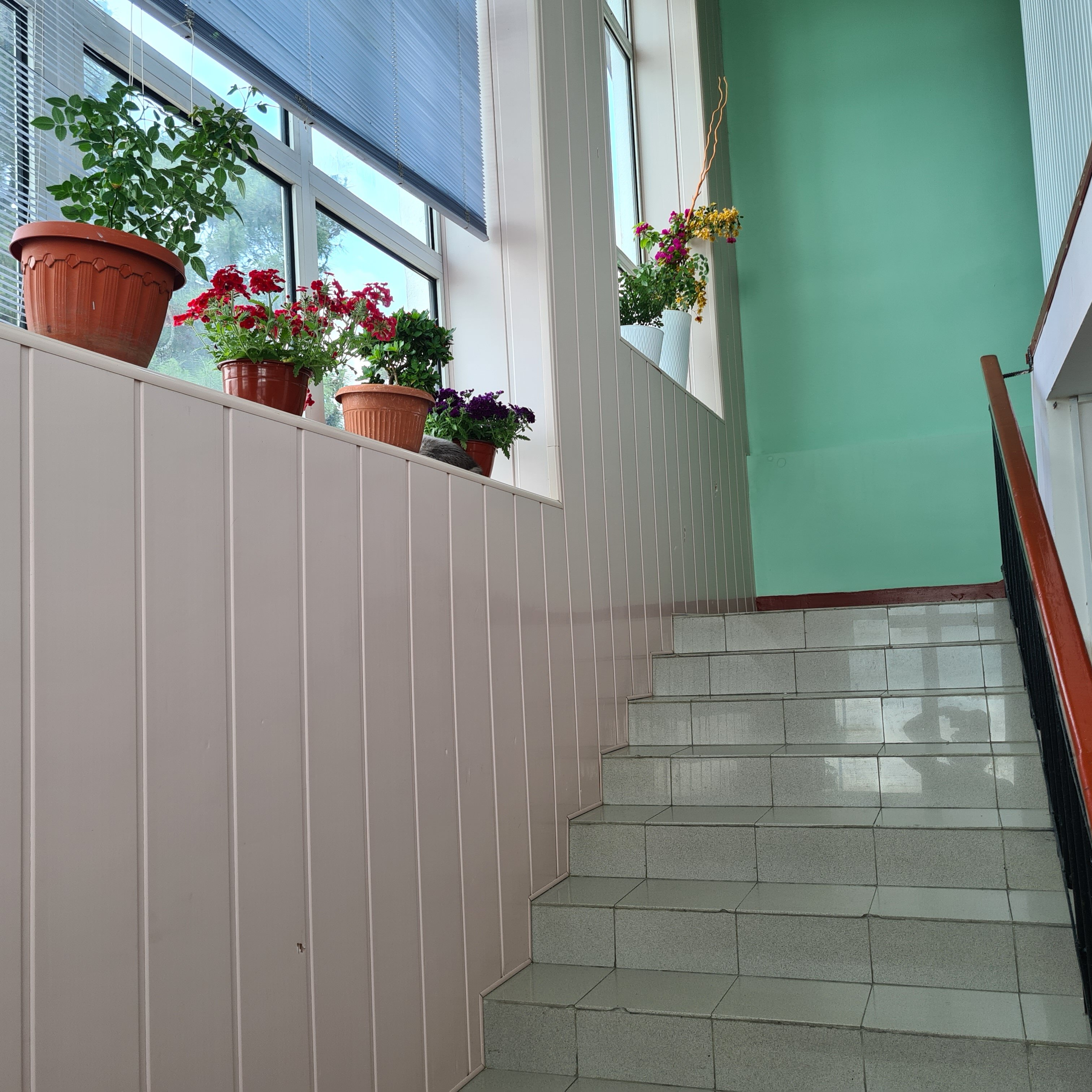 Фото Алёнка