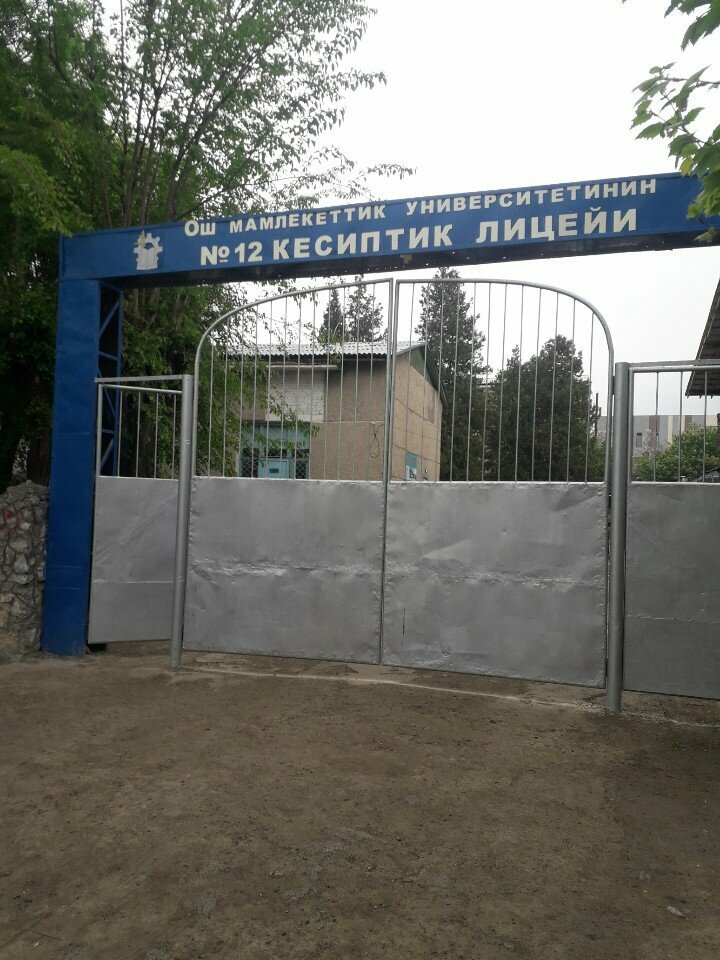 Lyceum Professional Lyceum No. 12, Osh, photo