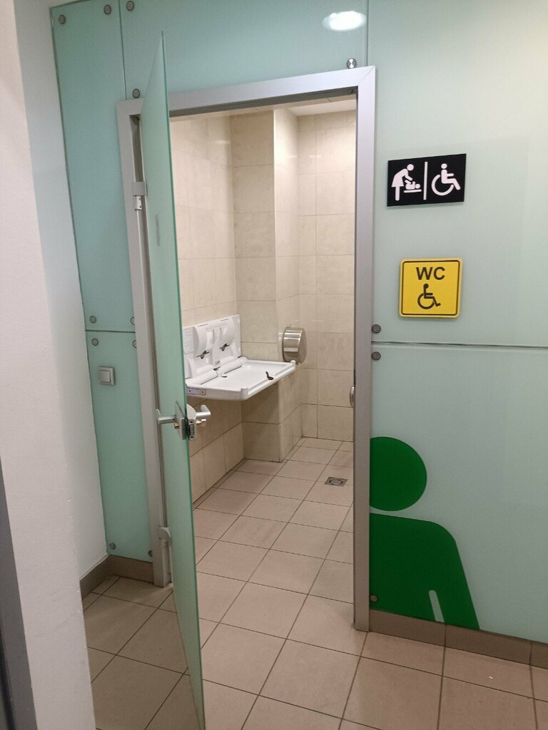 Accessible toilet Туалет для инвалидов, Mytischi, photo
