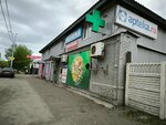 Аптека (Пролетарская ул., 225, Оренбург), аптека в Оренбурге