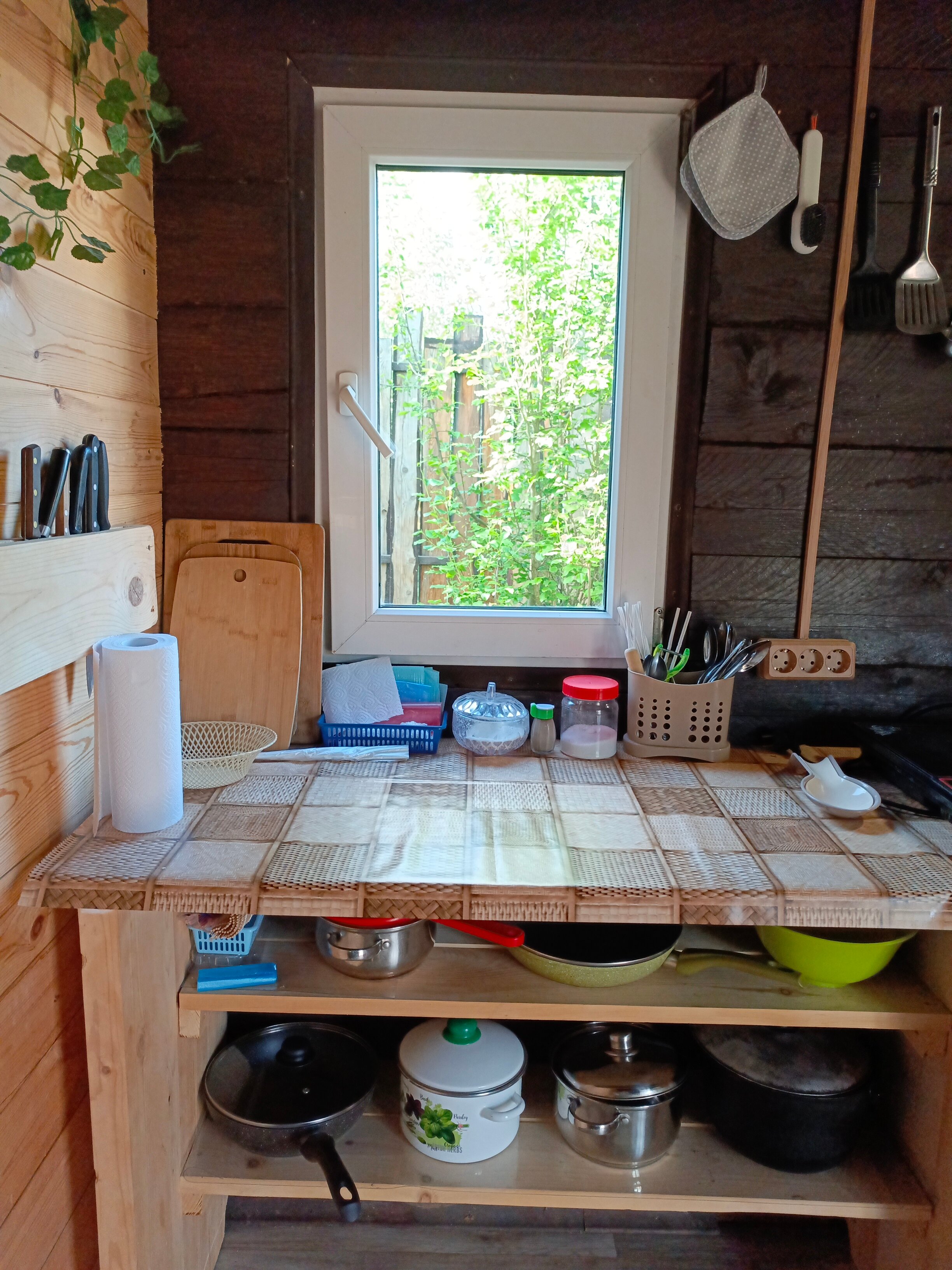 Фото Дыхание Алтая