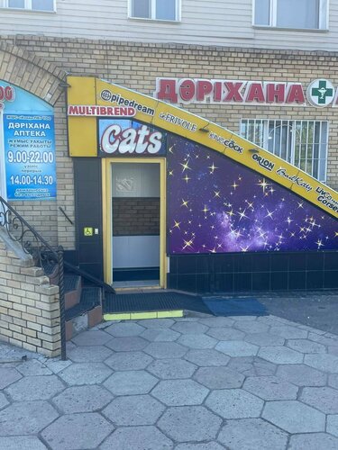 Орыс әйелдерінің жеке порно видеоларын қараңыз